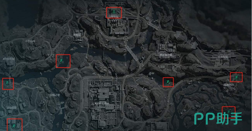 的大马羽球 的大马羽球