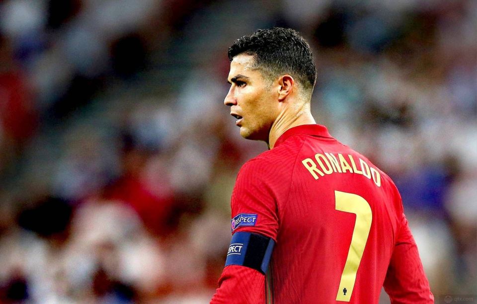 有老将如林 有老将如林